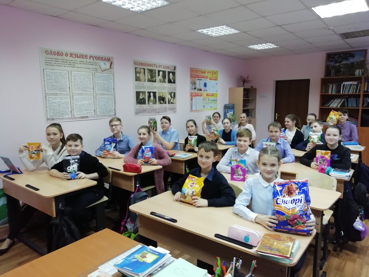 Акция "Милосердие" - в помощь бездомным животным