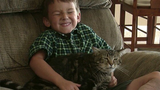 Кошка по имени Тара спасла 4-летнего Джереми от нападения злой собаки