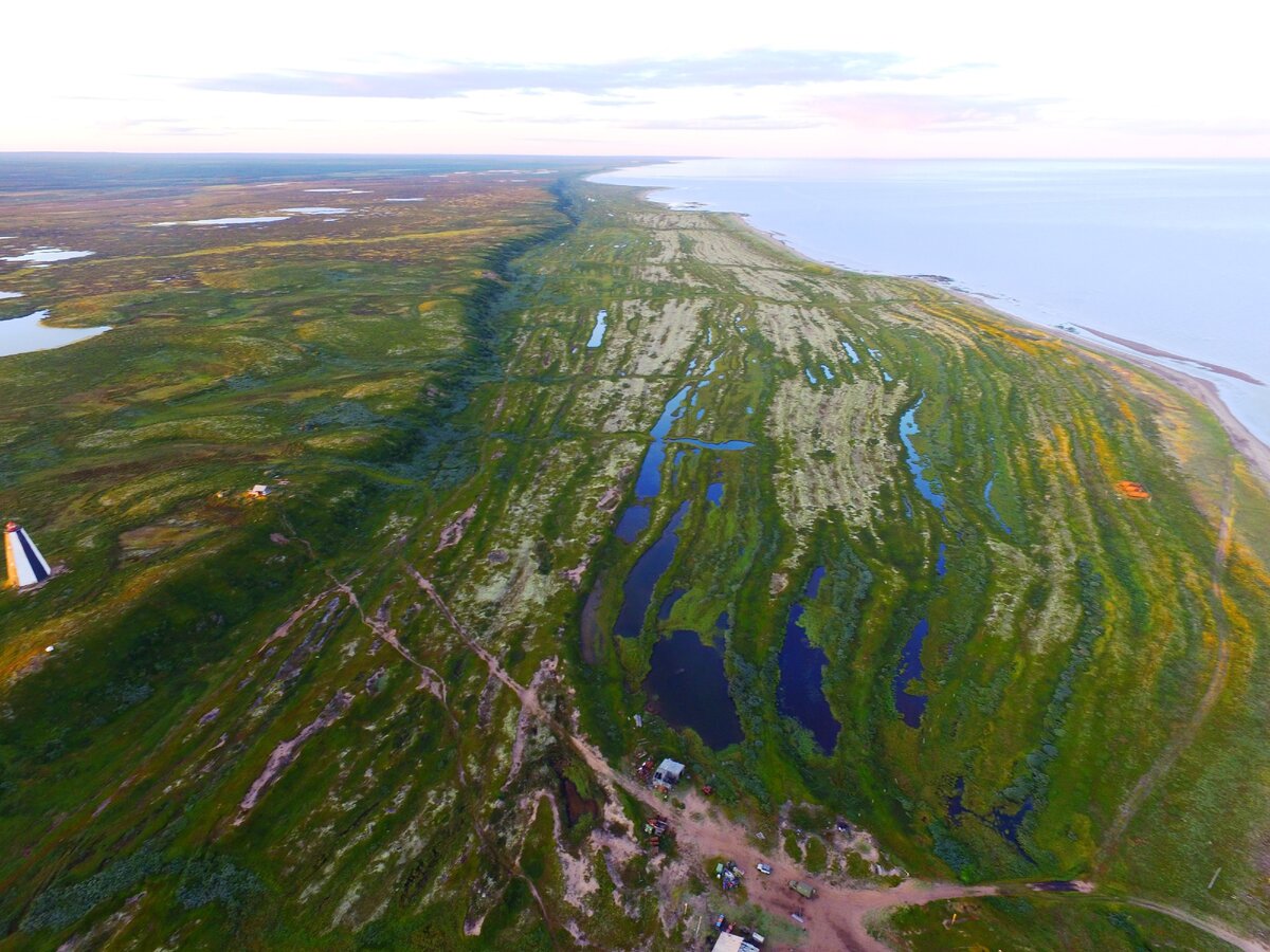 Карта морские террасы