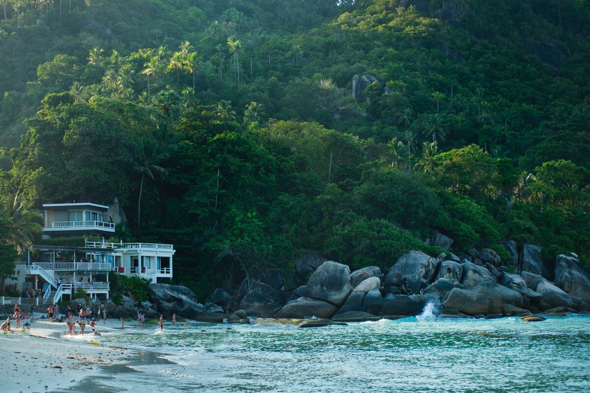 Фото: pexels.com