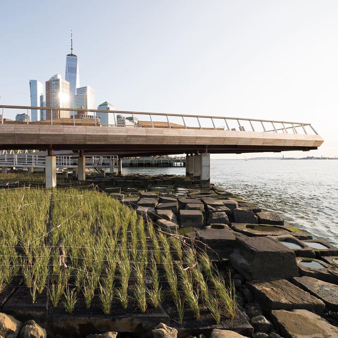 Фото by Hudson River Park https://www.instagram.com/p/CFxs6cep_y9/ 