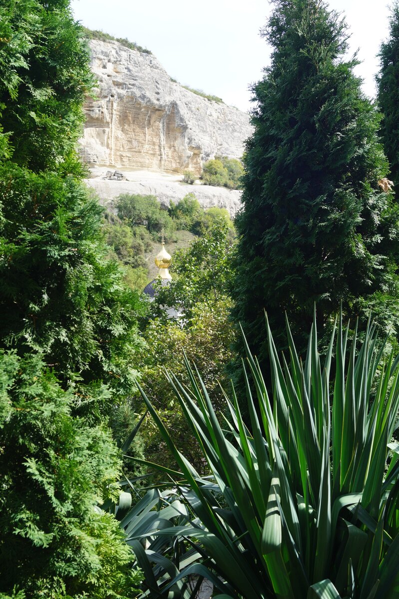 Совместная прогулка по красивым местам - еще один способ наладить отношения и пообщаться.