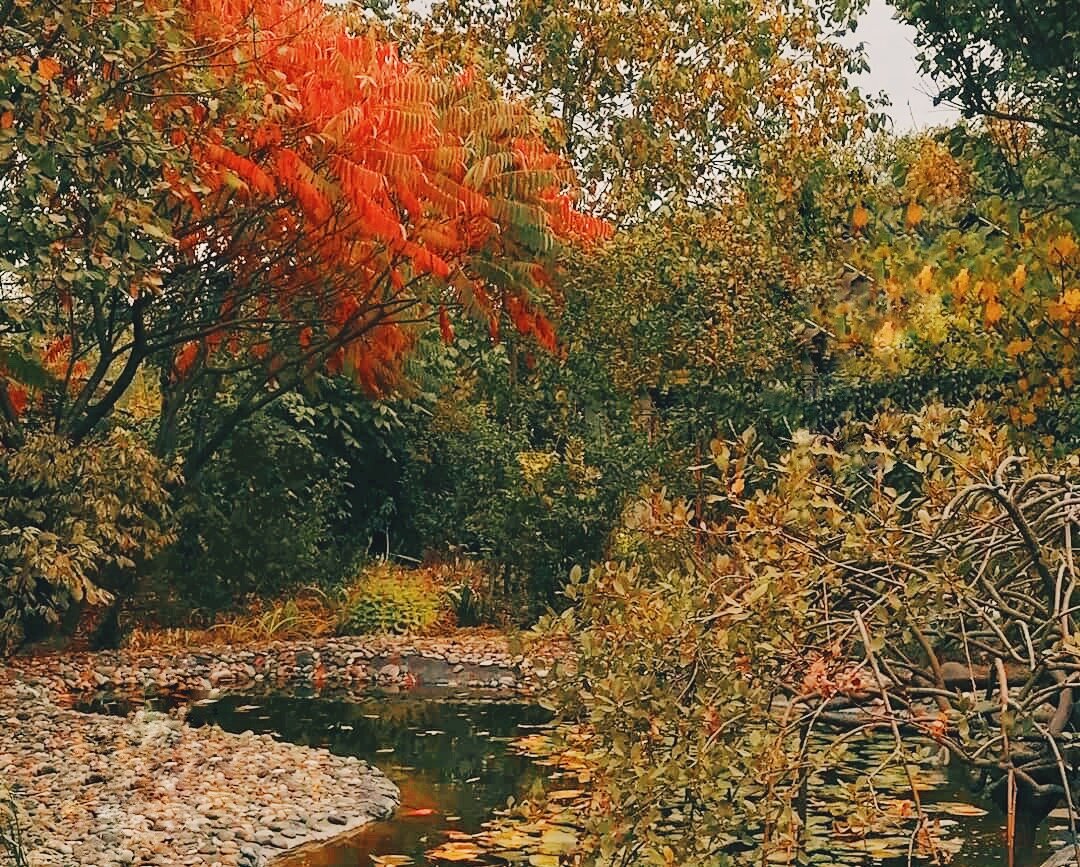 Осень в саду