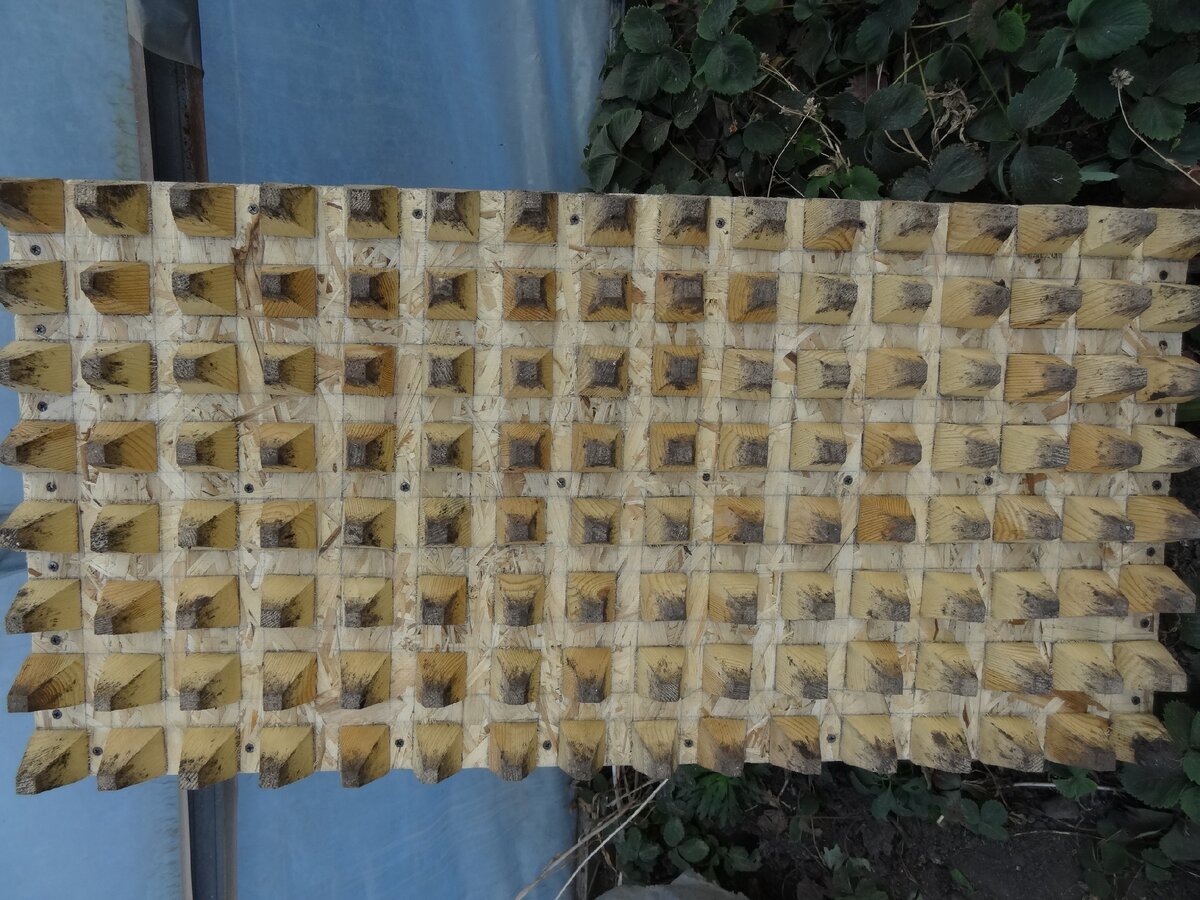 Доска-шаблон.