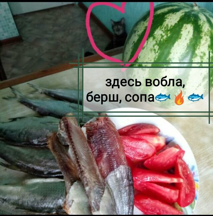 ПРИВЕТ друзьям, подписчикам и гостям  канала‼ Меня зовут Ирина Силова ❤️ Я хозяйка группы 🤝🏻 Платную рекламу и накрутку подписчиков- не делаю, за счёт этого предлагаю всегда бонус при заказе 1 кг. и скидку от трёх кг. 💥💥💥 От 5 кг. скидка ещё БОЛЬШЕ ‼🐡🐠 За 10 месяцев люди возвращаются по 6-7 раз и рекомендуют друзьям 🤝🏻Предлагаю вам новую партию вяленой рыбки 🐠🐟🐡 Качество домашнее 🔥 Жара ушла, малосол. Видео в группе МОИ ‼🔥🐟 ВОБЛА ОСЕННЯЯ (без икры) --- 800 руб, СОПА жирненькая, супер---700 руб, ЧЕХОНЬ, серебряная красавица - 900 руб, ТАРАШЕЧКА --500 руб, ПОДЛЕЩИКИ И ЛЕЩИ - 500 руб, БЕРШИ И СУДАКИ , палец в пасть не клади))) Всего 700 руб 1 кг, БУФФАЛО - 400 руб - 1кг, ЩУКА потрошеная большая--700 руб. - 1 кг, КРАСНОПЁРКА 500 руб. 1 кг,  КОРЮШКА-- 950 руб. -1 кг.,ЖЕРЕХ,ТОЛСТОЛОБИК холодного копчения - 800 руб. "книжка". ПРОСТО ЗАЙДИТЕ В ГОСТИ, в группу, на мою кухню)))👉🏻