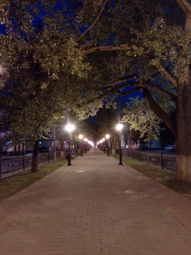 г. Кострома. Улица Павловская (ныне - Проспект Миру).