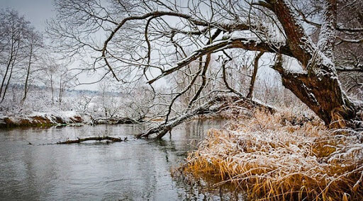 Река перед ледоставом