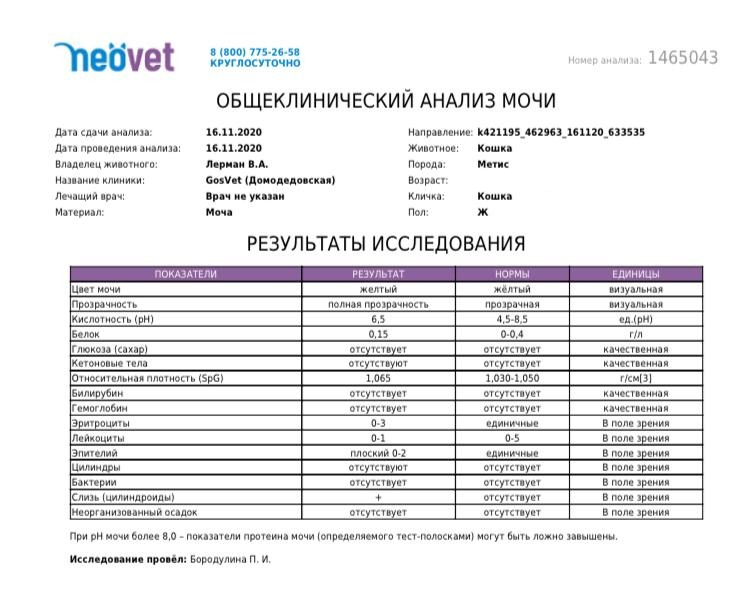 Академия результаты анализов