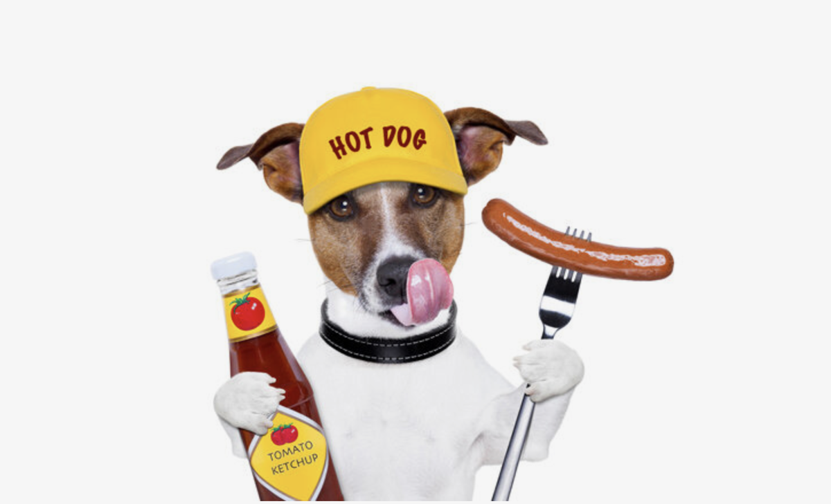 Фото из свободных источников