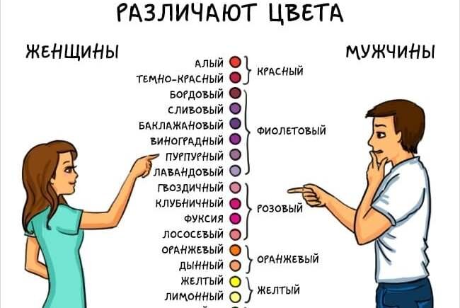 Какие цвета различают мужчины