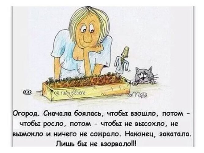 анекдот про огород, нашла в свободном доступе. Примерно так всё и происходит :-)