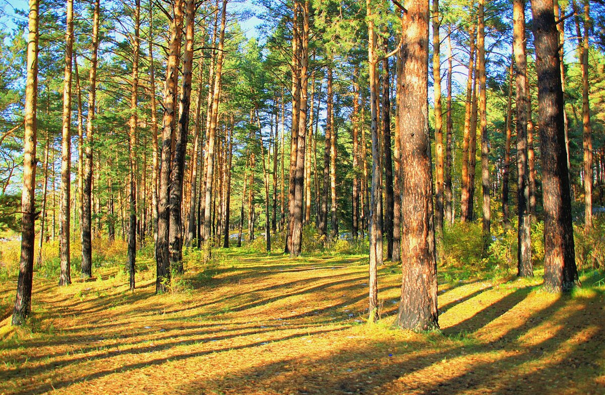 Фотография, стихотворение Василия Глуцкого. 