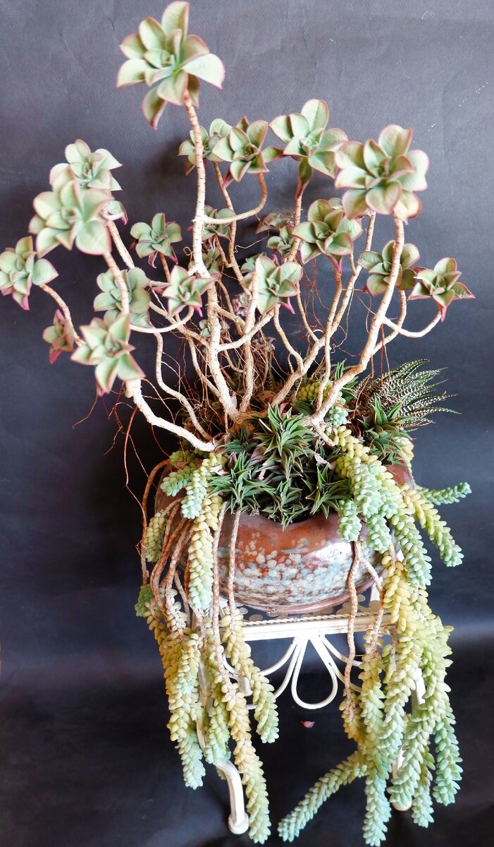 Этой композиции 20 лет. Не судите строго.