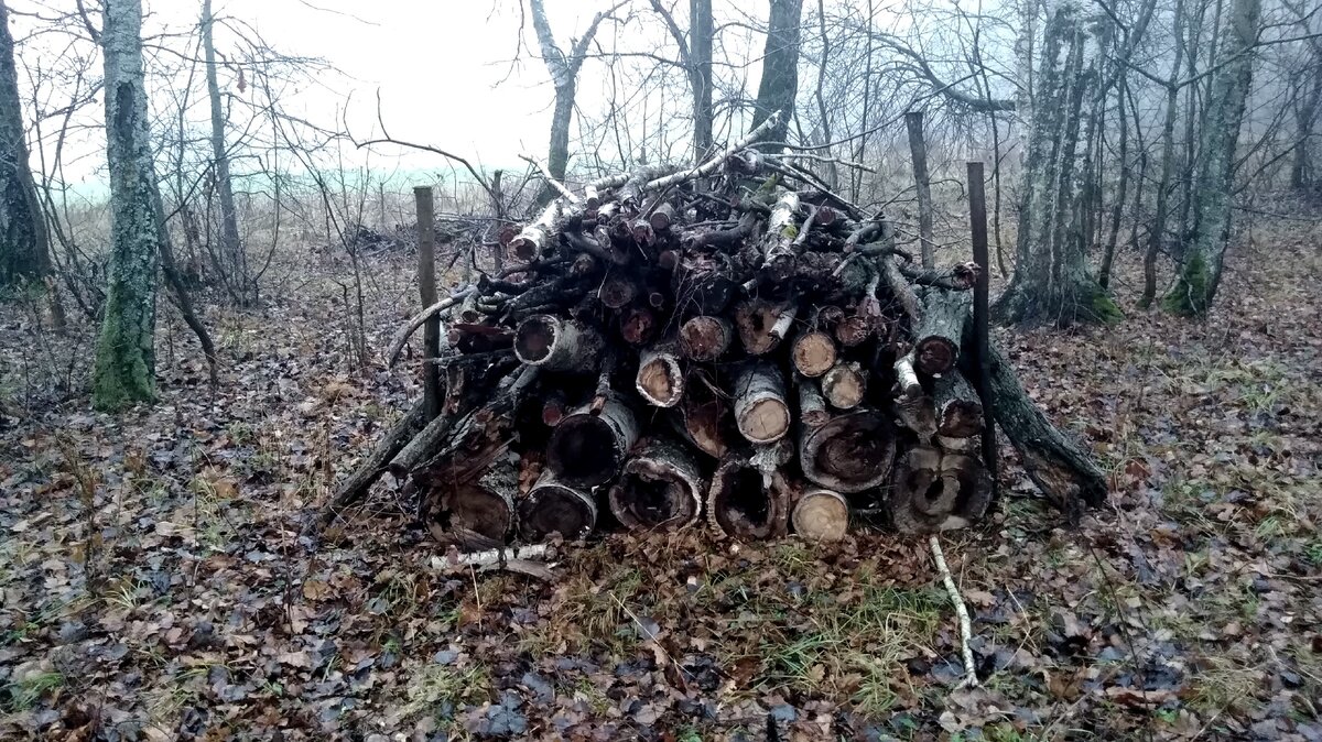 Кучи уже довольно плотно слежались. Лежат не первый год.