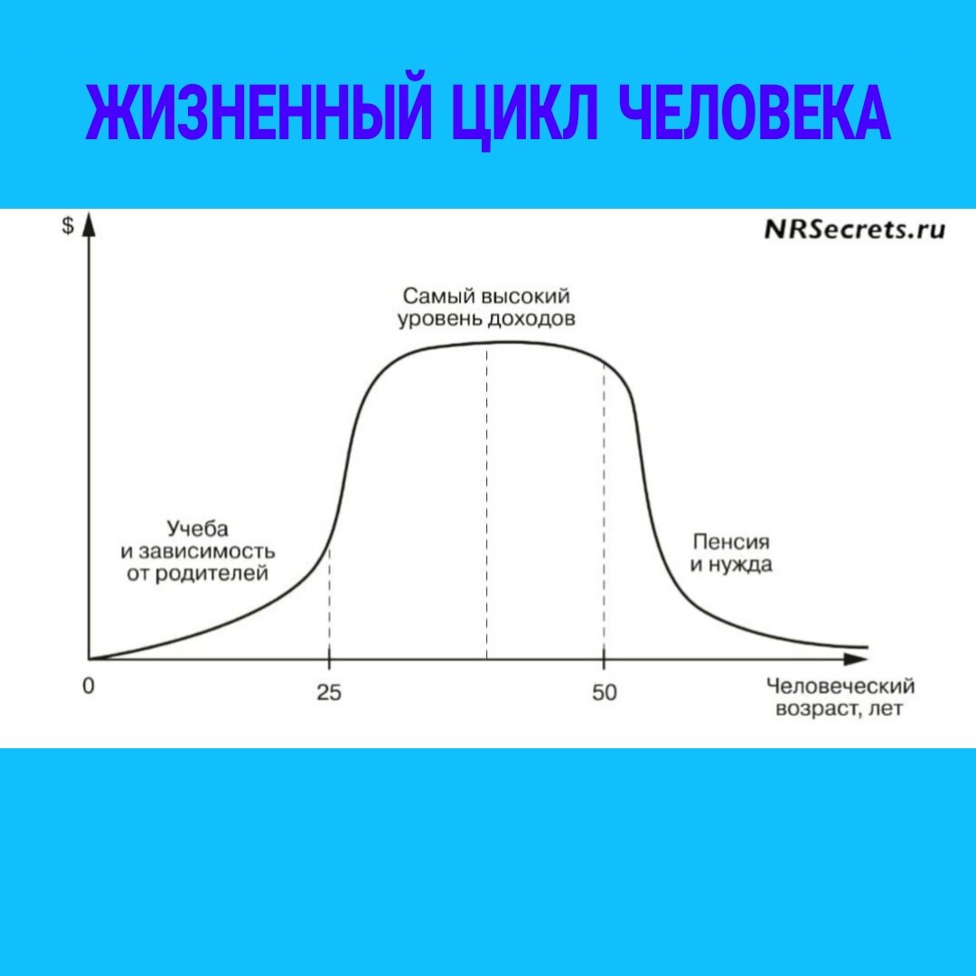 Циклы человека