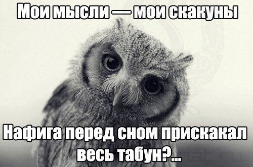 Картинка взята из открытого доступа Яндекс.картинки