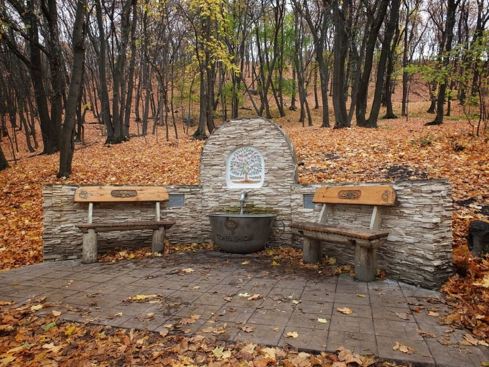 Саратовский родник. Малиновый Родник Кумысная Поляна. Малиновый Родник Саратов. Родник Андреевский Саратов. Серебрянный Родник Саратов.