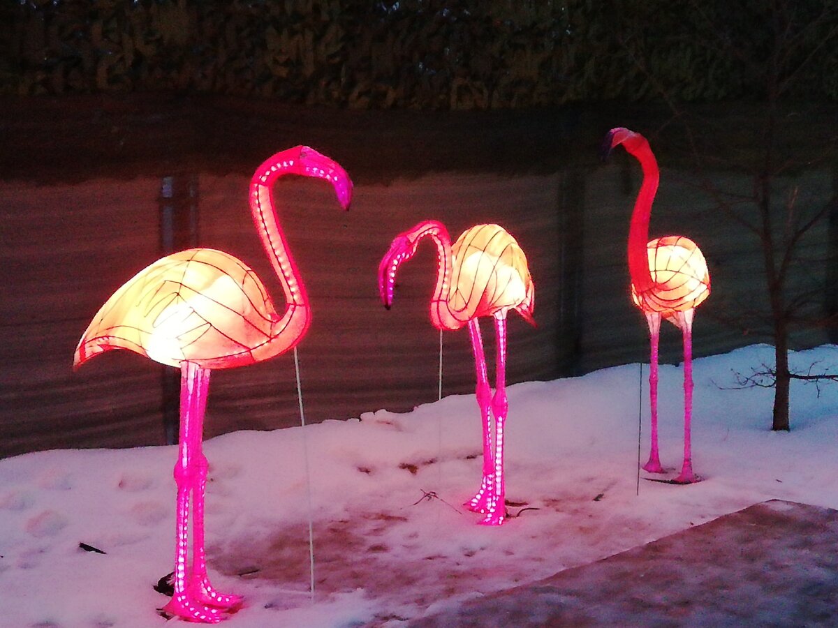 Световые фигуры в Парке Победы