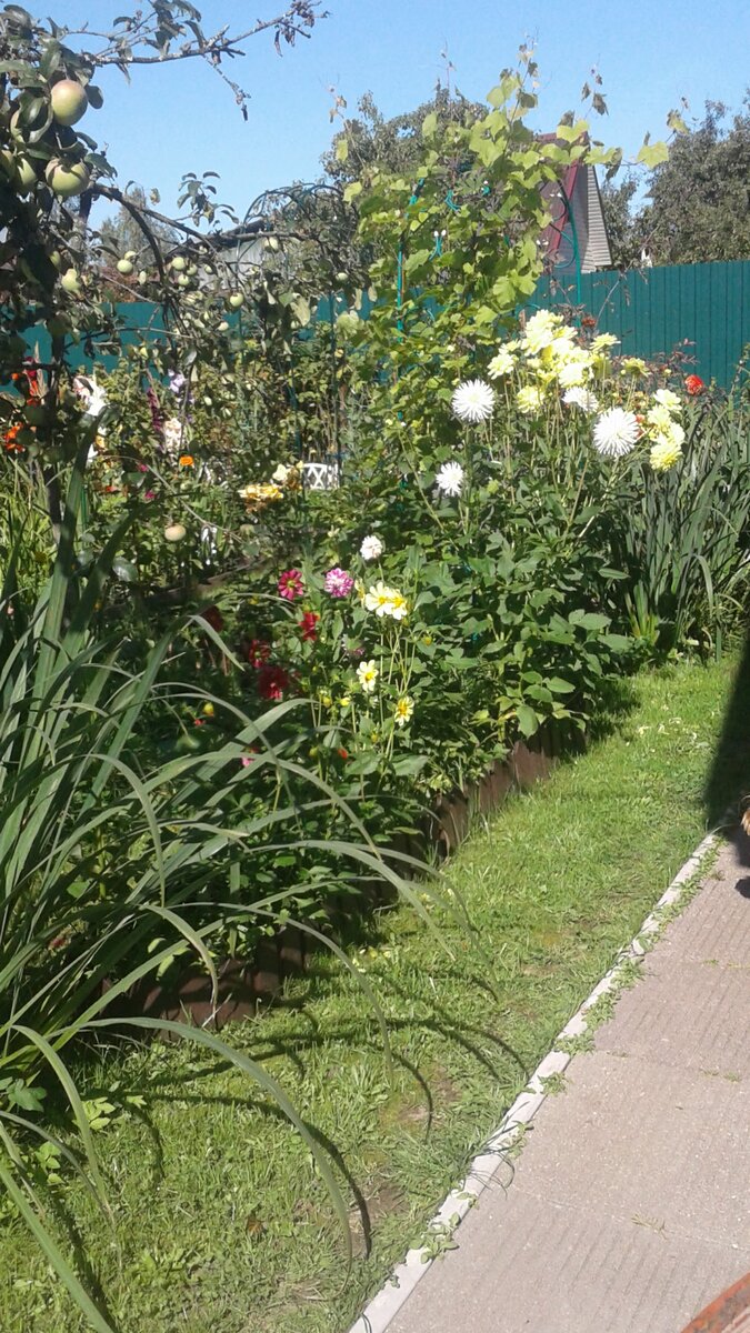 Клумба вдоль старого дома