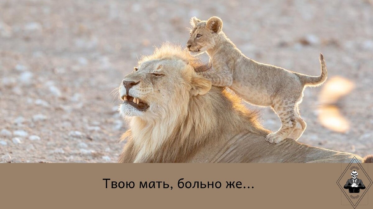В истории много примеров того, как слабый выигрывал у более сильного! Главное - верить в себя и включить мозги! Изображение из открытых источников