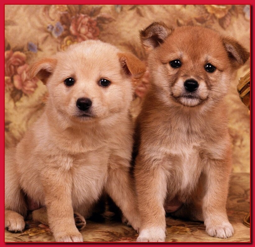 картинка взята с сайта яндекс