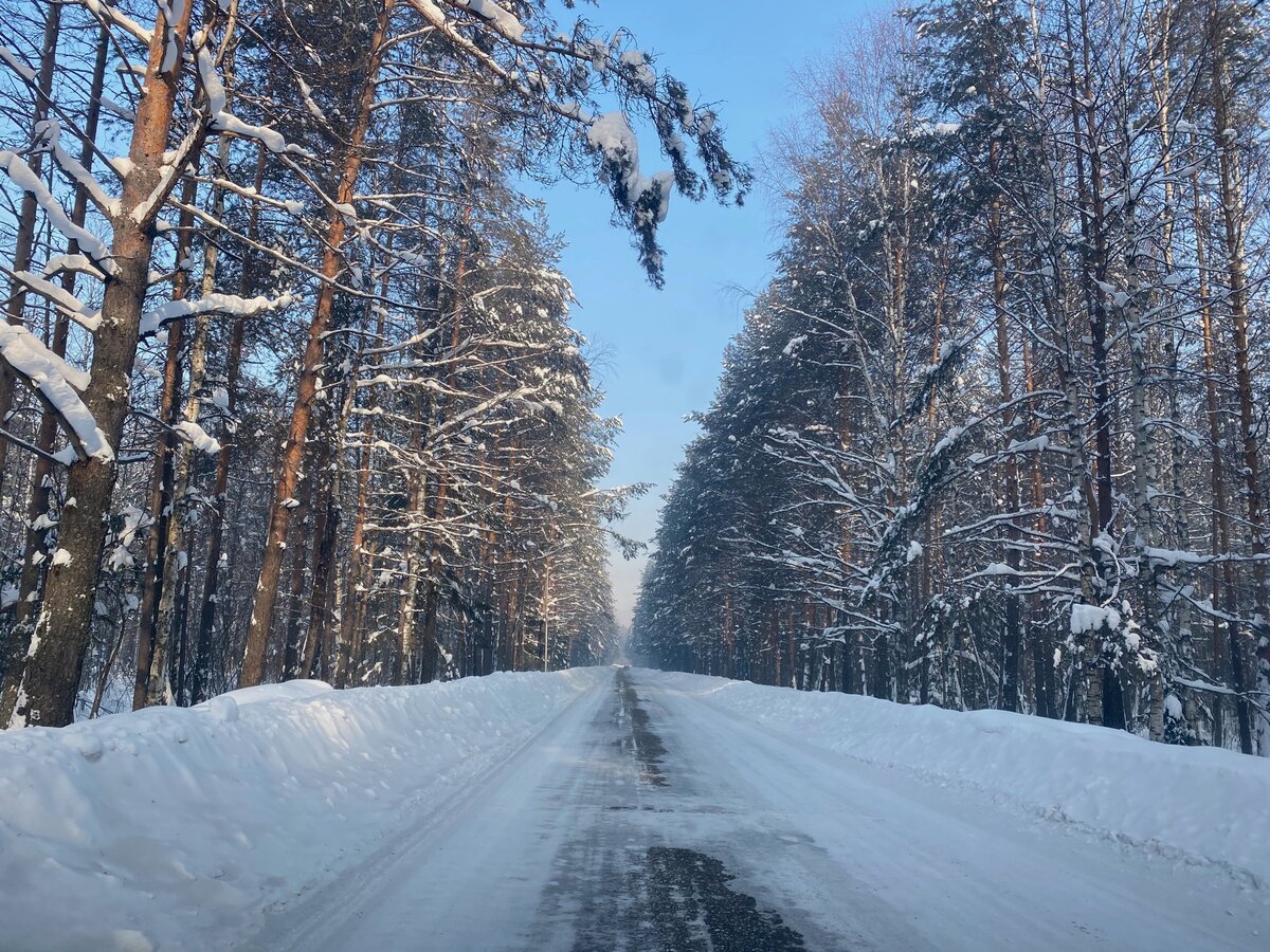 Фотография не способна передать в полной мере красоту зимнего леса.