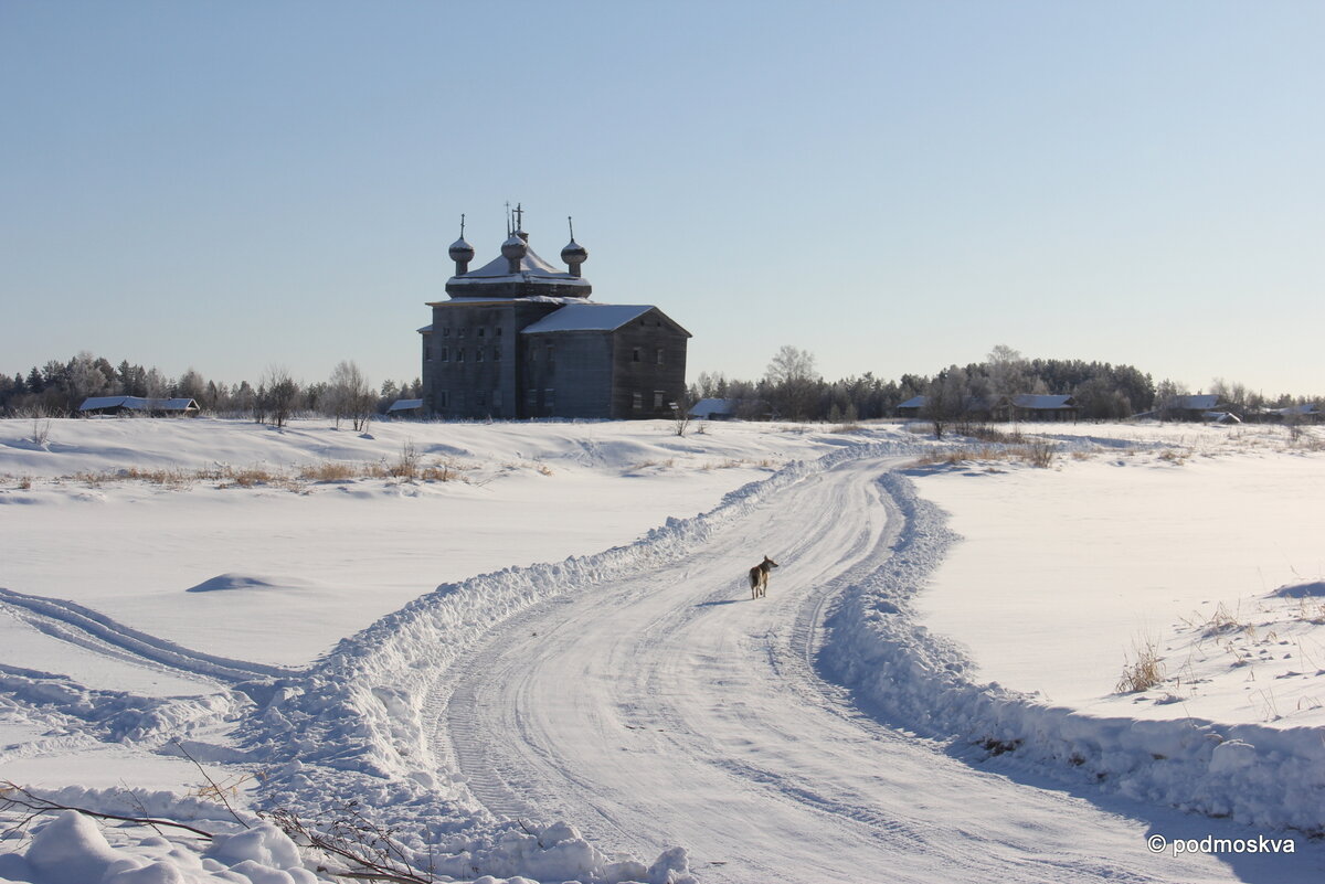 Деревня Нименьга, Архангельская область, февраль 2021. Фото автора. При использовании фотографий из публикации просьба указывать ссылку на источник!