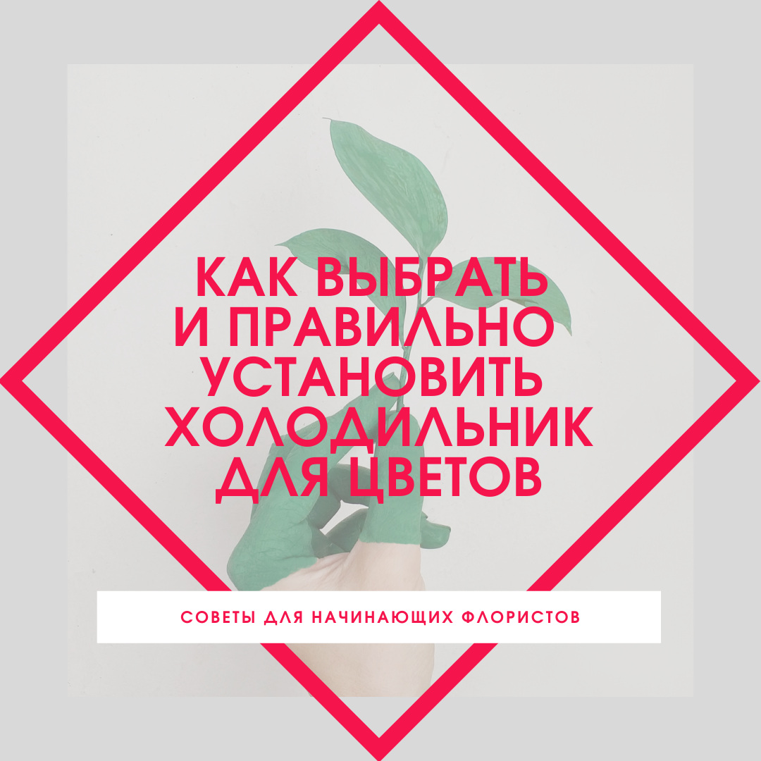 Как выбрать и правильно установить холодильник для цветов? |  Флористу.Близко | Флористика | Дзен