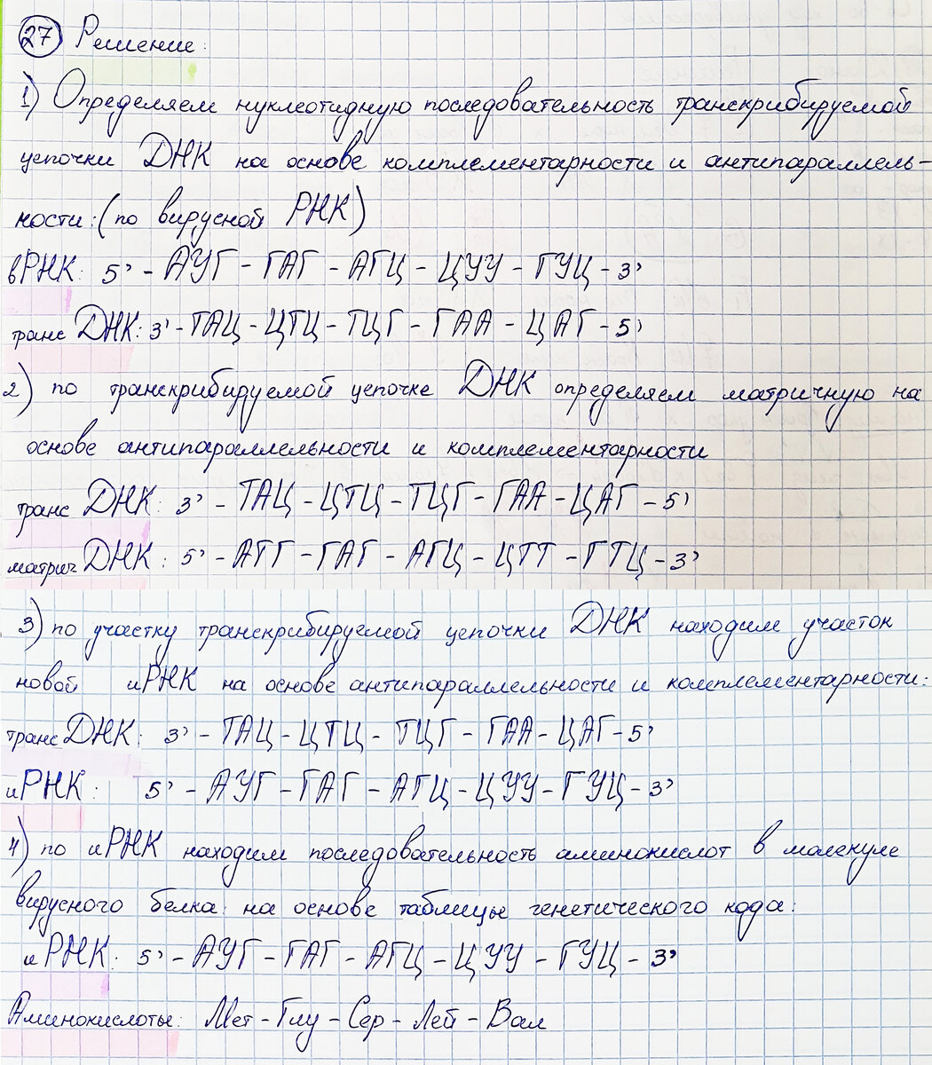 Сдашь ЕГЭ по биологии - создашь вакцину от COVID-19 (и не только). 27-е  задания в измененной ситуации (1 задача) | Репетитор-профессионал Богунова  В.Г. | Дзен