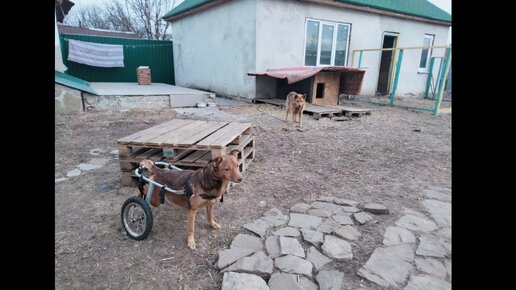 Первый секс с девственницей - Релевантные порно видео (7495 видео)