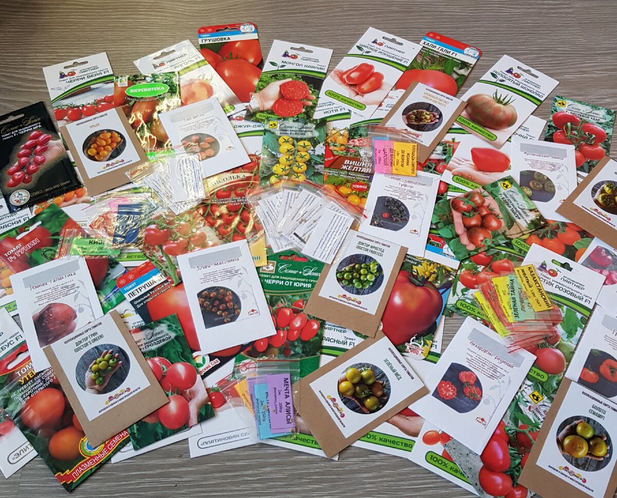 Томатный рай