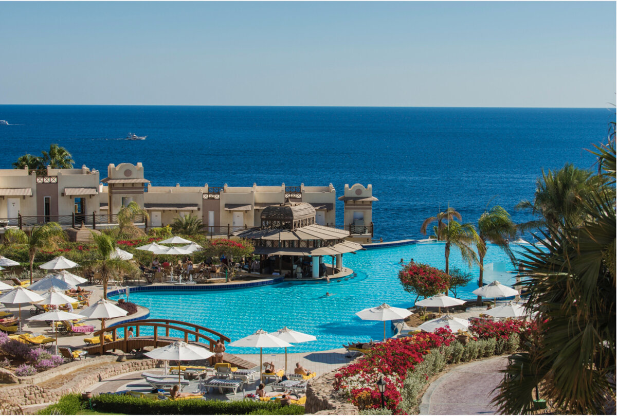 Скрин автора с сайта www.pegast.ru