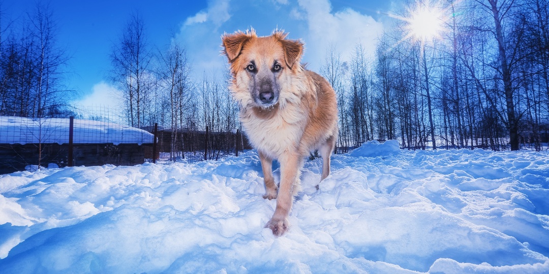 Самые яркие фото зимы 2021!