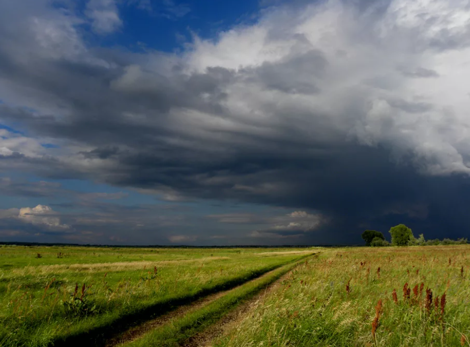 Степь пасмурно. Природа перед грозой. Природа после грозы. Пасмурный пейзаж. Перед грозой.