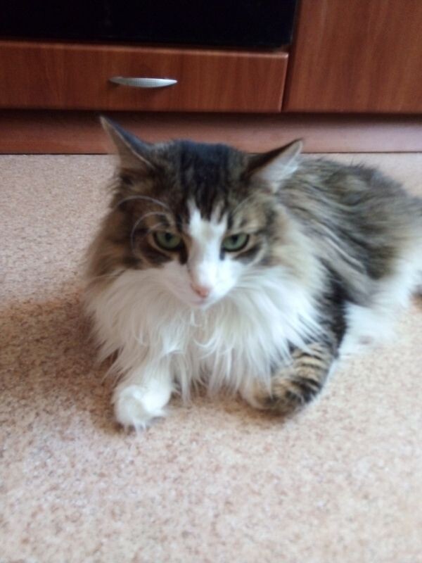 С чувством выполненного долга можно отдохнуть