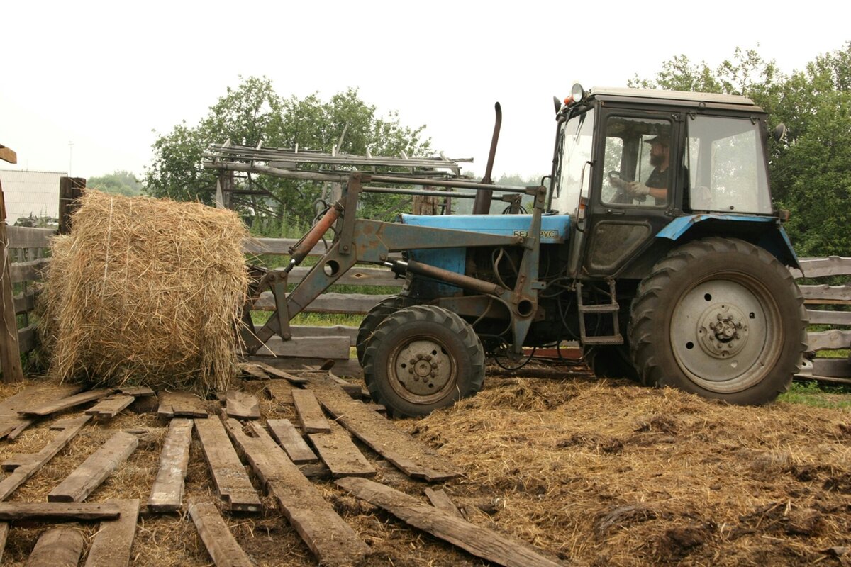 Сено и зерно – 2 важных компонента для хозяйства в зимний период. Впервые  сел за трактор – привёз себе сено. | Деревенское Хозяйство Устиновых | Дзен