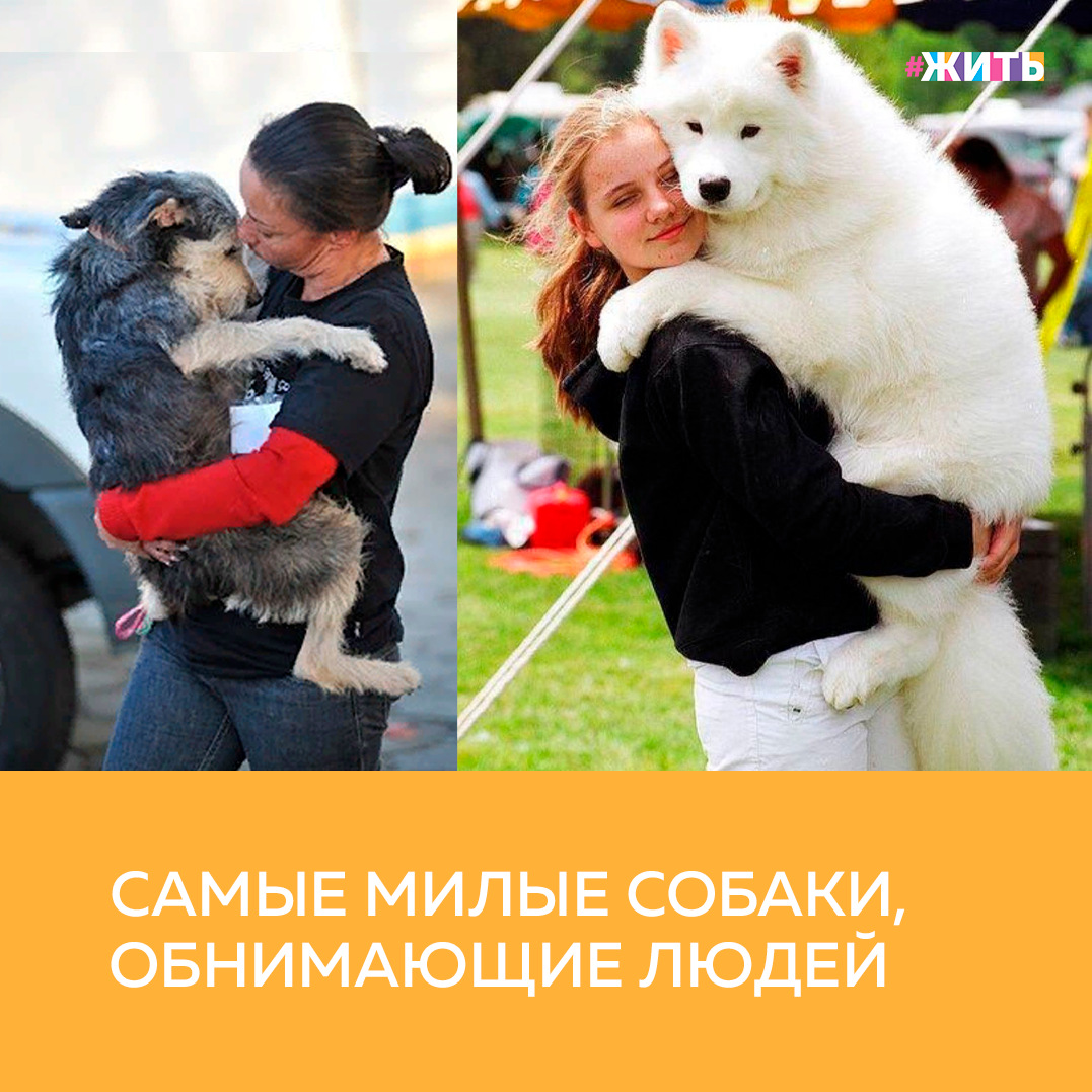 Собака чувствует настроение хозяина, поэтому в трудную минуту она попытается и развеселить вас, и разделить с вами печаль, и просто посидеть с вами рядом, заглядывая в глаза🤗 
Потому что эмоций у нее не меньше, чем у вас. А может даже и обнять. Потому что никто не утешит так, как лучший друг🙌

Мы уверены, что эти несколько фотографий растопят ваше сердце💓

А ваш четвероногий друг утешает вас в трудную минуту? Как это происходит?

#жить #проектжить #животные #добро