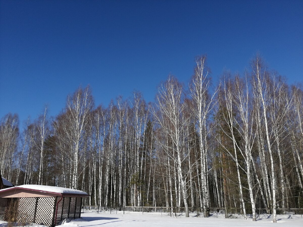 А денек-то какой сегодня выдался! Загляденье!!! здесь и далее - фото автора