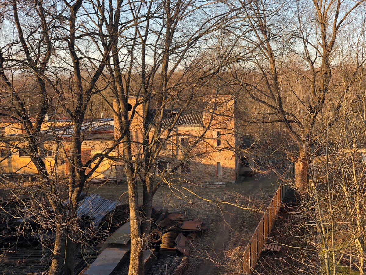 Вдалеке за деревьями тот самый старый усадебный дом, в котором останавливался Александр Сергеевич Пушкин