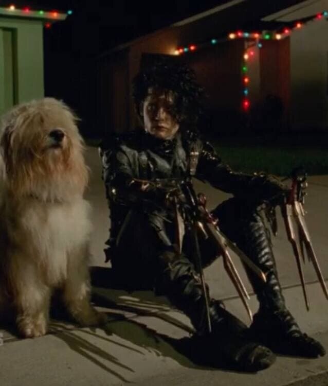 Главный герой. Кадр из фильма "Эдвард Руки-ножницы".