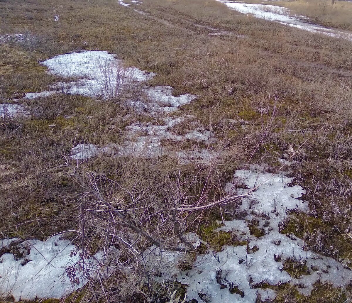 Тест. Весна в стихах | Тесты? Легко | Дзен