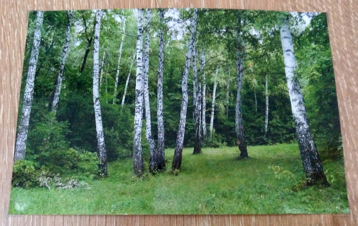 Фото автора