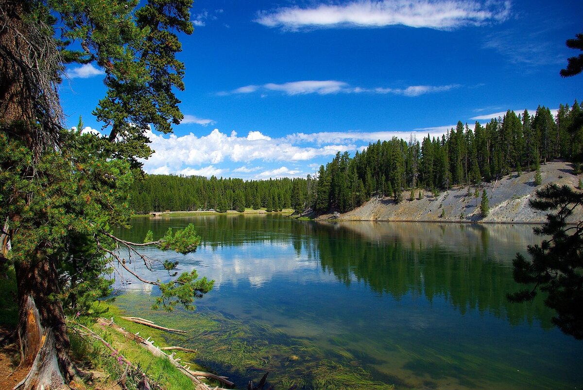 На берегу таёжной реки, фото https://pixabay.com/ru/
