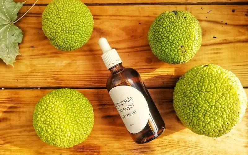 Фото взято из интернета