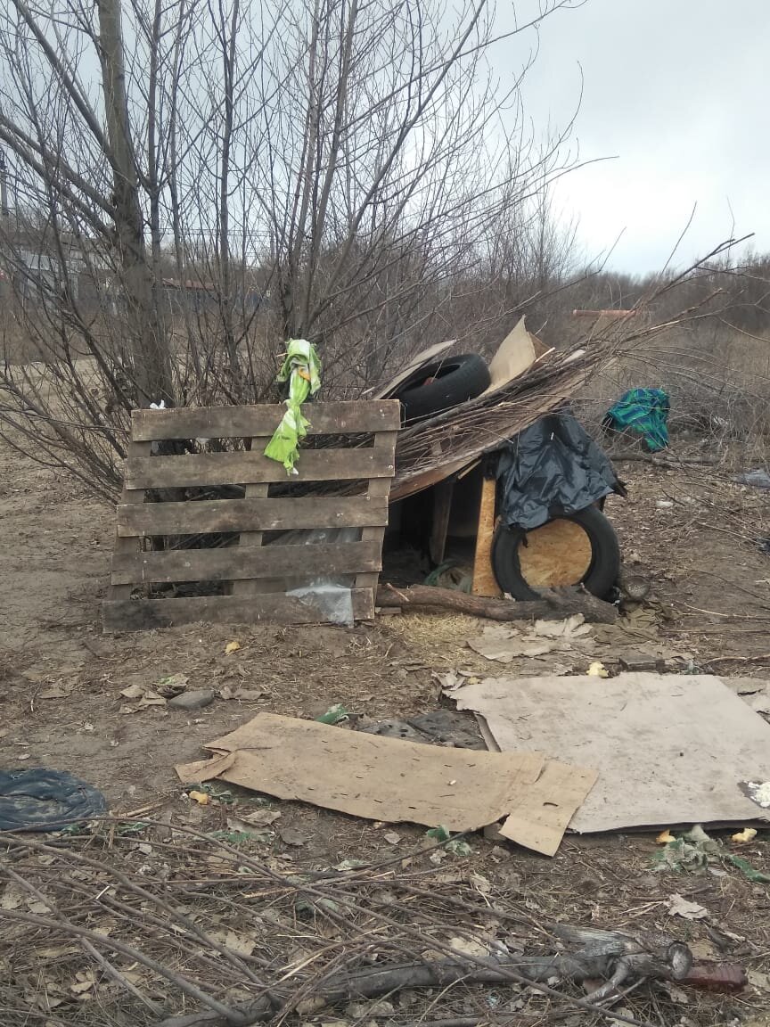 Домик собак