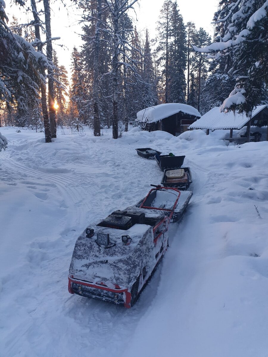 мотособака