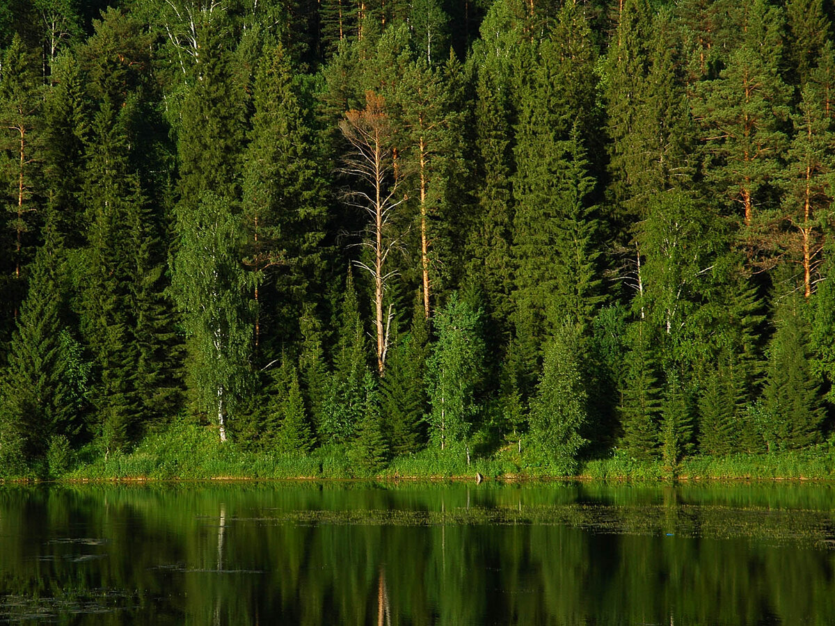 Некоторые банковские продукты, как этот темный лес))