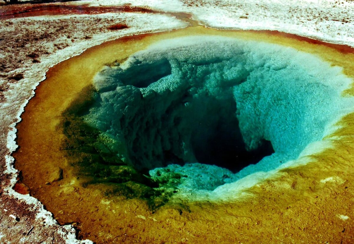Ядовитое море