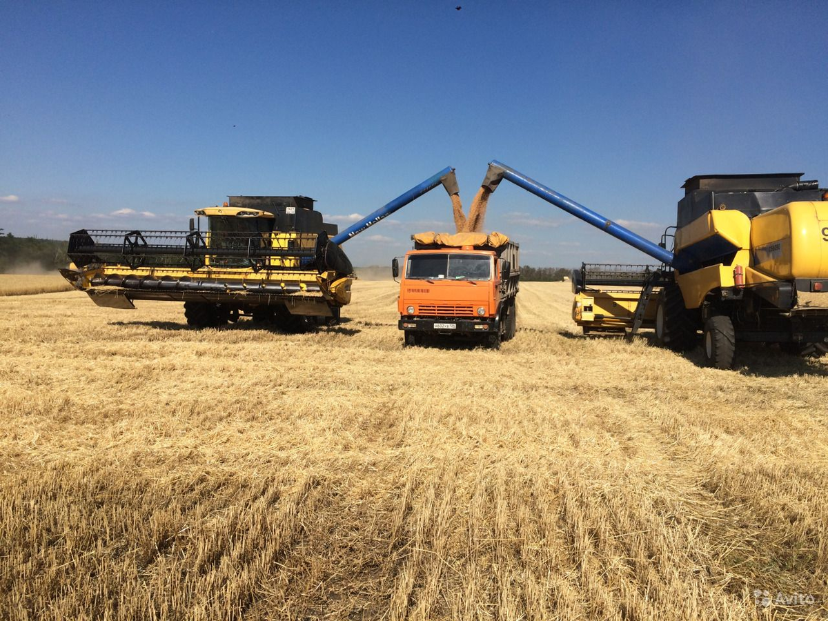 А так сейчас в РФ. Источник: Яндекс.Картинки