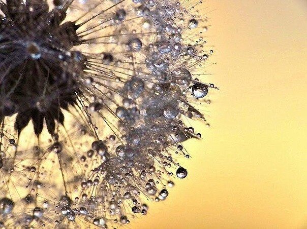 Просто картинка из свободного доступа в сети Интернет. Обложка моего канала "Жизнь как она есть. Изложение с элементами сочинения".